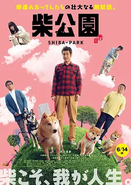 迷人小姨妈
