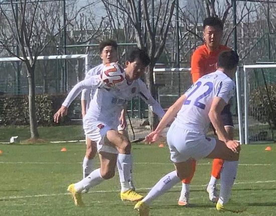 冰冷热带鱼完整版