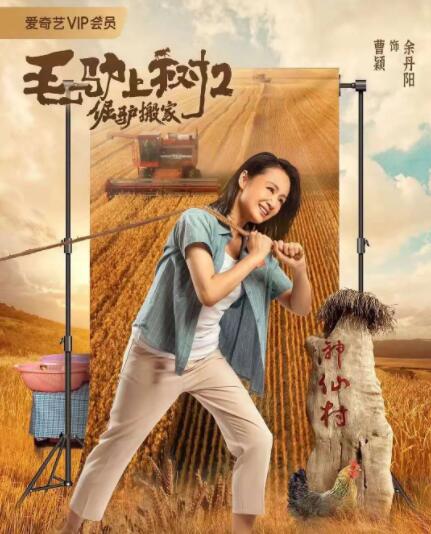 丁香五婷婷