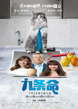 亚洲伊人色一综合网
