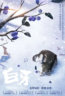 越线的女人