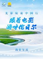 看污软件