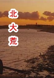一区二区三区电影