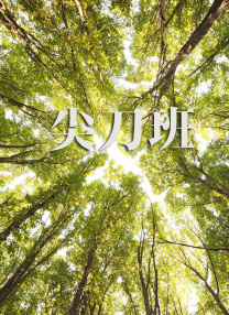 欧美在线观看高清一二三区