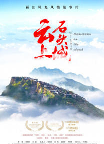 国产精品h