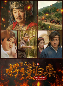 精品视频—区二区三区免费