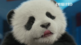 欧美乱视频